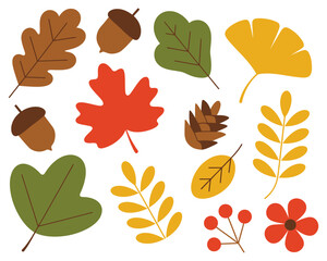 Colorful autumn leaves, acorns, and berries illustration set for seasonal fall designs