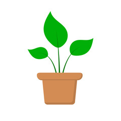Fototapeta premium Potted Plant Icon Isolated on Transparent Background. Houseplant in Pot. Vector Illustration