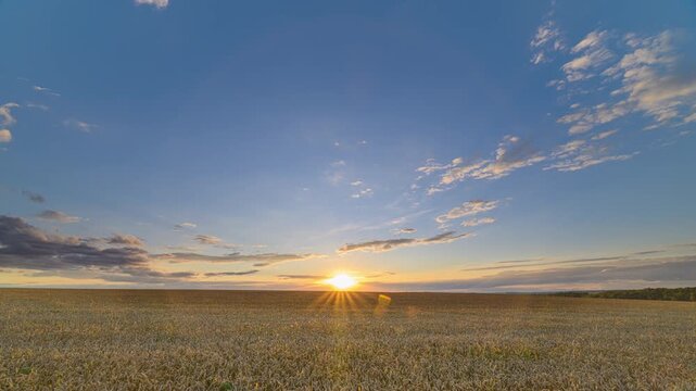 A Serene and Beautiful Sunset Over a Lush wheat Field Captured in Panoramic View - Powered by Adobe