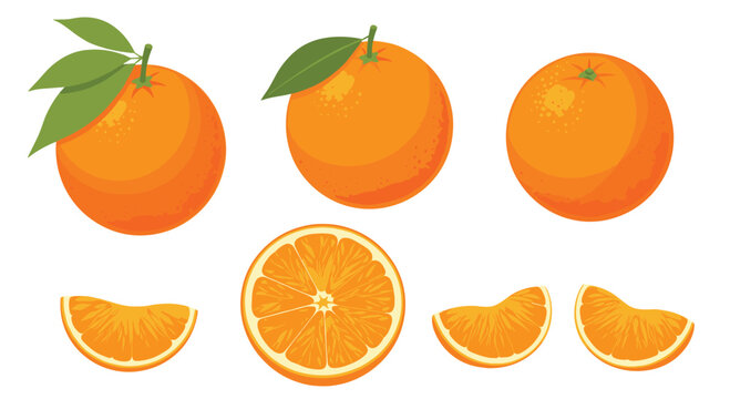 A selection of whole and sliced oranges with vibrant green leaves.