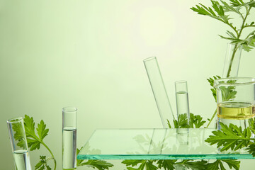 Close-up horizontal view of mugwort leaves in clear test tubes, styled for cosmetic laboratory...