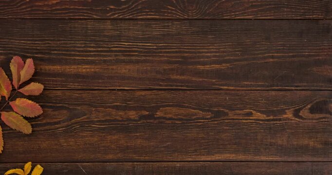 Halloween composition with orange pumpkins and fallen colorful leaves on brown wooden background with place for text. 4K looped stop motion animation