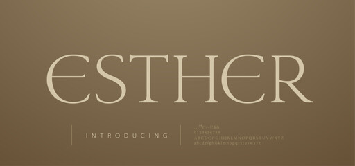 Modern luxury beauty font alphabet logo. Typography beautiful fashion elegant classic letters serif italic fonts decorative wedding vintage blossom logos. vector illustration