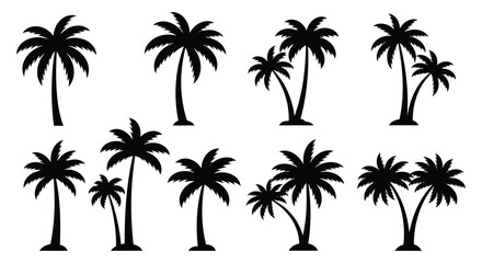 Diverse palm tree silhouettes collection tropical beach vacation island resort paradise nature elements silhouette