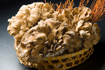 籠に入った大きな天然舞茸のイメージ写真