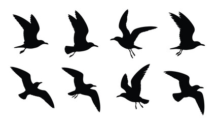 Collection of eight black silhouettes of seagulls in various flying poses against a white background