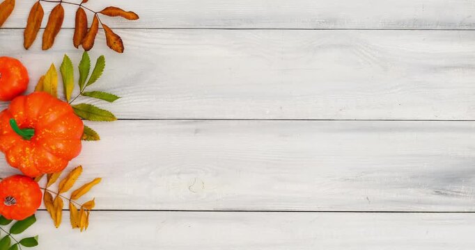 Autumn composition with pumpkins and fallen colorful leaves on white wooden background with place for text. 4K looped stop motion animation