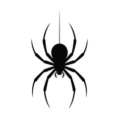 Silhouette of a black widow spider hanging from a single strand of silk