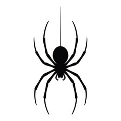 Black silhouette of a spider hanging by a thread on a white background