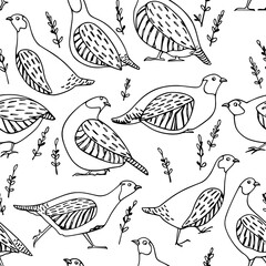 Vector seamless pattern with hand drawn cute Grey Partridges with floral elements. Beautiful illustration, ink drawing. Perfect for prints and patterns