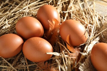 Raw chicken eggs, feathers and straw on table, closeup