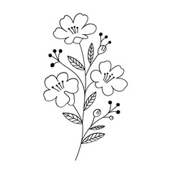 Delicate hand drawn black and white floral illustration of blooming flowers and leaves
