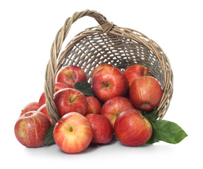 Fresh apples in wicker basket and green leaves isolated on white