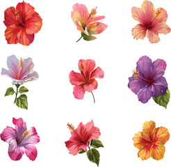 set of colorful flowers