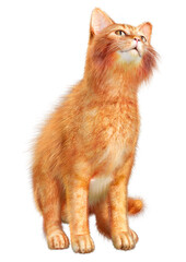 3D Rendering Red Cat on White