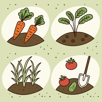 Illustration of various vegetables growing in garden plots on light green background