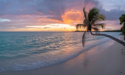 Tropical sunset beach scene.  A palm tree sways over a tranquil beach as the sun sets, painting the sky in vibrant hues of orange and pink.  Calm turquoise water laps gently at the shore