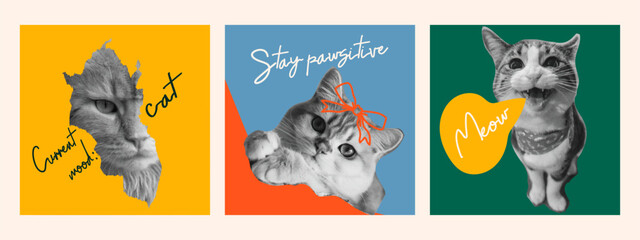 Cat faces collage set with funny quotes. Trendy retro  aesthetic in grunge punk style. Vector digital art collection for posters, stickers, prints, and modern design.