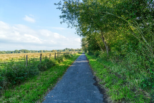 Wanderweg mit Zaun und Wiesen im Naturschutzgebiet in den Rieselfeldern in M&uuml;nster
