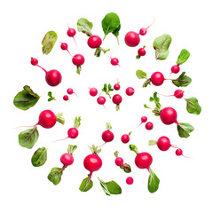 Radishes png