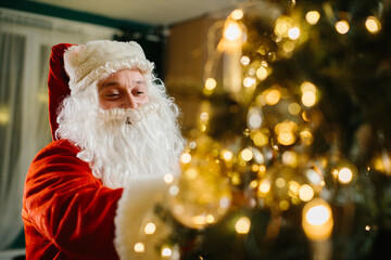 Santa claus decorating christmas tree with golden lights