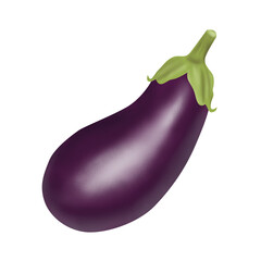 Digital art of a single, smooth, purple eggplant with a green stem, isolated on a clean white background, illuminated by soft, natural light.

