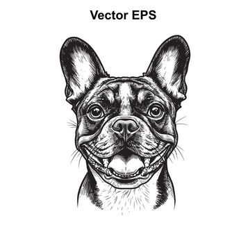 Vector art of black and white sketch of a french bulldogs face