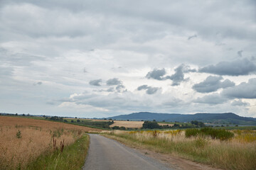 Fototapeta premium Winding country road through golden fields and rolling hills under a dramatic overcast sky, showcasing a serene rural landscape.