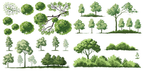 Collection of hand-drawn tree and bush illustrations for landscape design projects isolated on white background