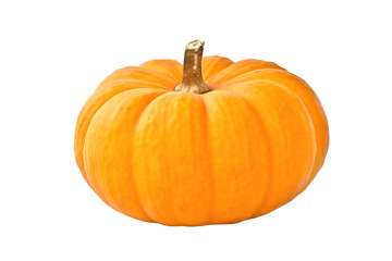 Photo of a gourd or pumpkin isolated on white or transparent background, Autumn, Halloween or Thanksgiving decor, png