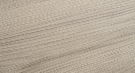 A refined birch wood surface featuring clean lines and a consistent grain pattern with a subtle matte finish
