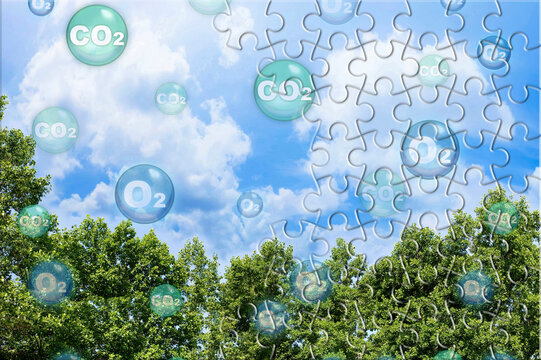 Tree foliage set against the sky with O₂ and CO₂ molecules &ndash; concept illustrating carbon dioxide absorption and oxygen release represented in the form of interlocking puzzle pieces.