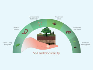 Soil biodiversity illustrating ecological functions supporting healthy planet