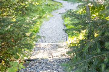 A gravel path winding through lush green foliage. Sunlight filters through the trees, creating a serene outdoor atmosphere.