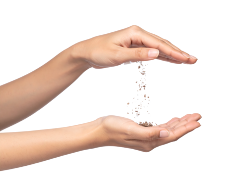 A shiny red satin bow tied elegantly on a ribbon isolated on transparent background