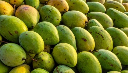 A vibrant close-up showcases a pile of ripe mangoes, with varying shades of green and yellow, ready to be harvested