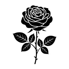 Fototapeta premium Minimalist Black Rose Silhouette with Detailed White Petal and Vein Outlines on Pure White Background