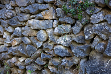 Rustic stone wall with green plants growing between cracks, capturing natural textures, countryside architecture and organic rural details