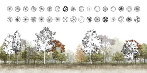CAD Drawings. Minimal style cad tree line side view, set of graphics trees elements outline symbol for architecture and landscape design drawing. Vector illustration.