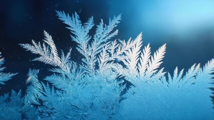 Delicate frost crystals on a window, forming fern-like patterns in cool blue light. - Powered by Adobe