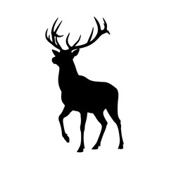 A silhouette majestic red deer stag with large antlers walking.