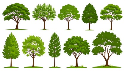 Collection of stylized green trees, varied shapes and heights, on white background