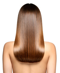 Sleek Long Brunette Hair Back View Woman