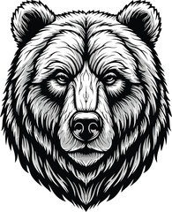 Detailed black and white illustration of a fierce grizzly bear's head with intense eyes and detailed fur texture