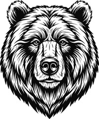 Detailed Black and White Illustration of a Grizzly Bear's Face on White Background animal mammal