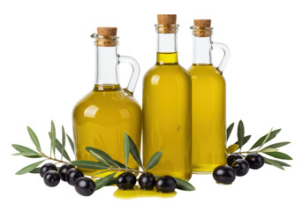 Isolated olive oil in bottles with corks and olives branches, nutritious cooking ingredients