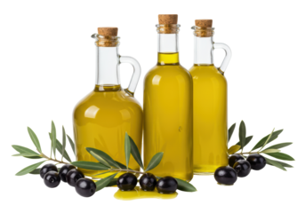 Isolated olive oil in bottles with corks and olives branches, nutritious cooking ingredients