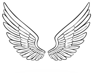 Obraz premium Elegant pair of spread angel wings black and white line art illustration