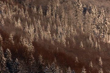 Late autumn and the beginning of winter in the mountain landscape, the first snow