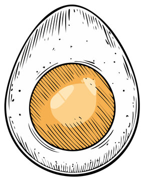 Illustration of a Hard-Boiled Egg Halved Showing Yolk and White